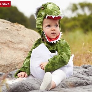 Baby Dinosaur Costume